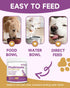 10 Immunity, Mushroom for Dogs & Cats - Turkey Tail for Dogs - Organic Mushroom Supplement with Turkey Tail, Reishi