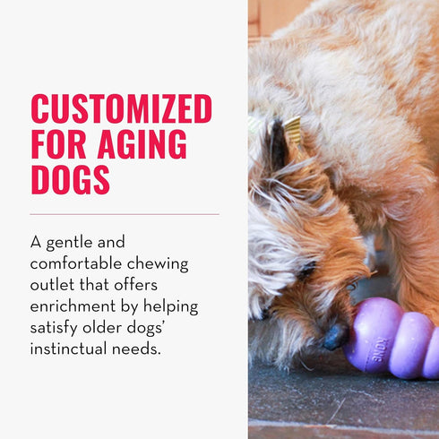 (Pack 2) KONG Senior - Dog Toy with Gentle, Natural Rubber - Durable Dog Toy for Older Dogs - Use Treats with Stuffable