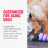 (Pack 2) KONG Senior - Dog Toy with Gentle, Natural Rubber - Durable Dog Toy for Older Dogs - Use Treats with Stuffable