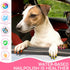 OLINGYOU Dry-20 Set Dog Nail Polish Dog Nail Polish Pens Quick Colors, Pet Nail Polish for Dogs DIY Dogs Puppy Nails