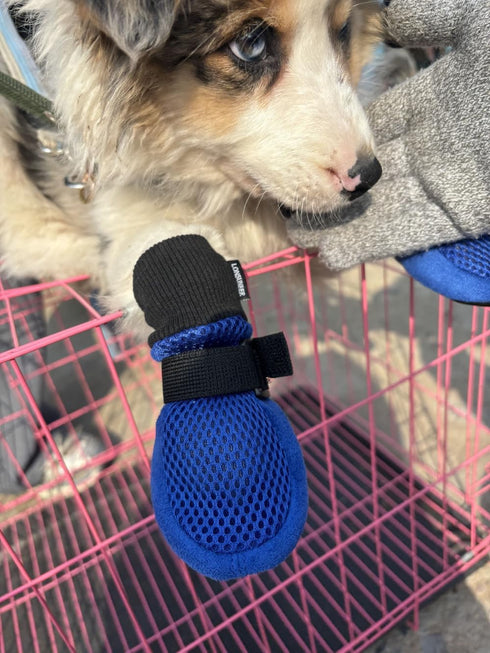Dog Shoes Soft and Lightweight with Breathability - Set of 4 Size X-Large Blue for Spring Summer and Fall