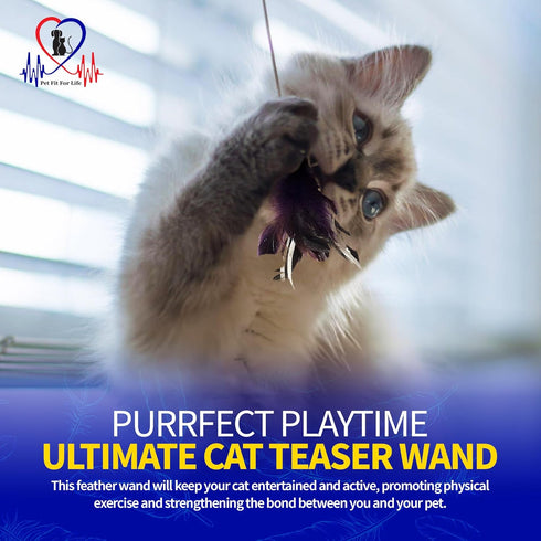 Pet Fit For Life Cat Feather Wand Toys, Red - Interactive Cat Wand Toy for Indoor Pets, 2 Feather Attachments