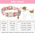 ARING PET Summer Dog Collar, Cute Popsicle Adjustable Multicolor Ice Cream Collar for Small Medium Large Dogs