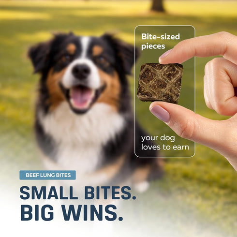 8 oz, 100% Big Lu High-Protein Training Dog Treats, Natural Single-Ingredient Beef Lung Bites, Rich in Glucosamine