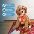 Best Pet Supplies Voyager Step-in Air Dog Harness, All Weather Mesh, No Pull for Small, Medium Dogs, Cats, Orange, S