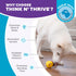 Outward Hound by Planet Dog Nooks Happiness Treat Dispensing Dog Toy - Small, Yellow, Smiley Face