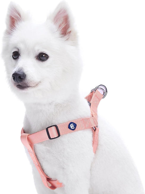 Blueberry Pet Essentials Step-in Dog Harness, Medium Size, Adjustable Baby Pink Vest for Boy & Girl Dogs, Chest Girth