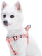 Blueberry Pet Essentials Step-in Dog Harness, Medium Size, Adjustable Baby Pink Vest for Boy & Girl Dogs, Chest Girth