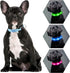 Light Up Dog Collars - Rechargeable LED Reflective Dog Collar for Night Walking - Adjustable Glow Collar (Blue, Small)