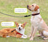 6 Foot Lightweight Sturdy Dog Leash with Rotating Metal Clip, Multi-Color Rope for Small Medium Dogs, Cats