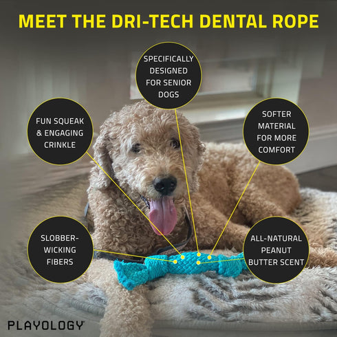 Playology Silver Dri-Tech Dental Rope Dog Toy for Medium Senior Dogs (15-35lbs), All-Natural Peanut Butter Scented Chew