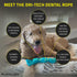 Playology Silver Dri-Tech Dental Rope Dog Toy for Medium Senior Dogs (15-35lbs), All-Natural Peanut Butter Scented Chew