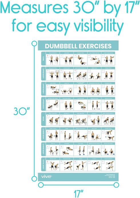 Vive Dumbbell Workout Poster - Laminated Home Gym Exercise Chart for Upper, Lower, Full Body Workouts