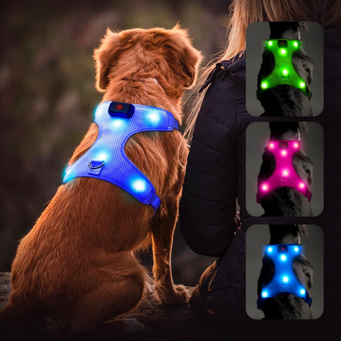 Flashseen LED Dog Harness - Lighted USB Rechargeable Pet Harness for Small, Medium, Large Dogs (Blue, L)