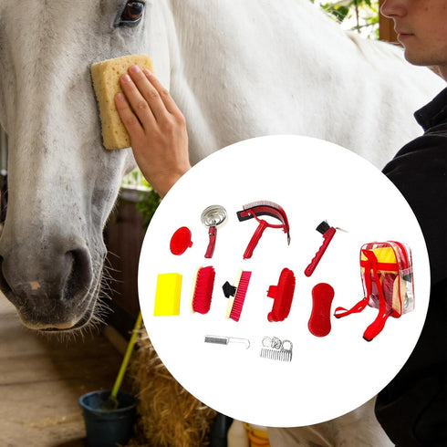 Aymzbd 11x Set Horse Grooming Kit,Cleaning Tools Gift Horses Care Supplies Horse Brush for Horseriders Shedding Owners