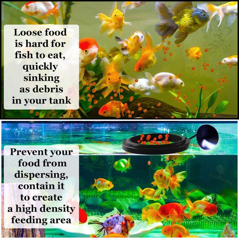 Betta Feeding Ring by SunGrow, Prevent Water Turbulence from Washing Food into Filter, Suitable for Guppy, Goldfish and