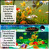 Betta Feeding Ring by SunGrow, Prevent Water Turbulence from Washing Food into Filter, Suitable for Guppy, Goldfish and