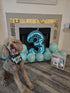 Birthday Boy Dog Bandana in Green