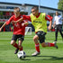 Pinnies/Scrimmage Packs 5, 10 15 FORZA Soccer Training Vests/Sports Bibs | of & | Sizes Ranging from Kids to XXL