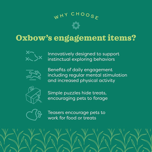 Oxbow Enriched Life Spin 'N Chew, Natural Wood Chew Toy for Rabbits, Guinea Pigs, and Hamsters, Promotes Dental Health