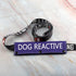 Dog Reactive Leash Sleeve - Nervous Dog Leash Wrap with Reactive Dog Patch