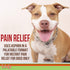 Dog Pain Relief - Inflammation Supplement, Gel Packets for Dogs, 30 Use