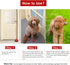 SlowTon Dog Doorbells, 2 Pack Metal Bell Training Tool for Potty Training, Clear Ring for Small Dogs Cats (Red+White)