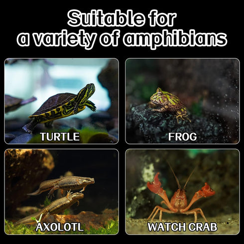Fish Tank Aquarium Turtle Basking Platform, Tortoise Climbing Platform with 3 Suction Cups, Float Resting Terrace (Grey)