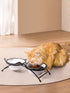 Y YHY Raised Cat Bowls, 12 oz Ceramic Elevated Food and Water Dishes with Stand, Dishwasher Safe for Cats and Small Dogs