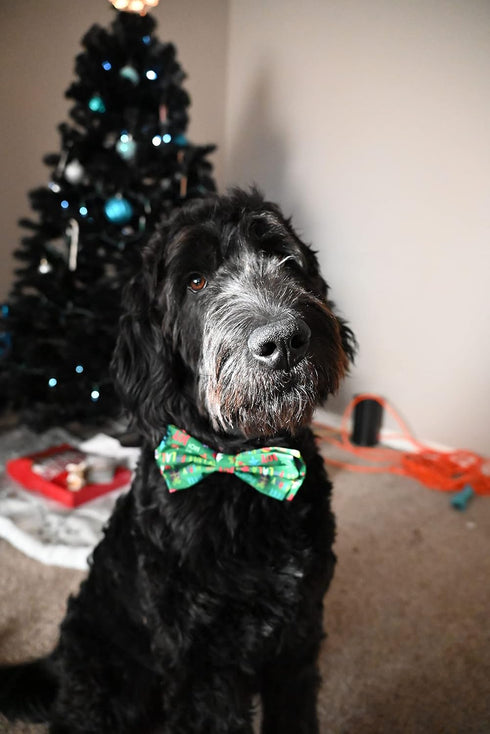 Huxley & Kent Bow Tie for Pets, Merry & Bright (Small), Christmas Holiday Velcro Bow Tie Attachment