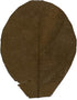 Awesome Aquatic Shrimp & Betta Leaves Catappa/Indian Almond, Dadap, Mulberry Natural Habitat Tannin Producing