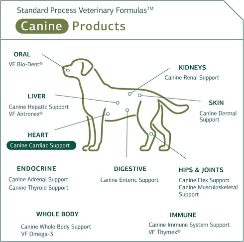 Canine Cardiac Support - Heart Supplement for Dogs - 25 Grams, Standard Process