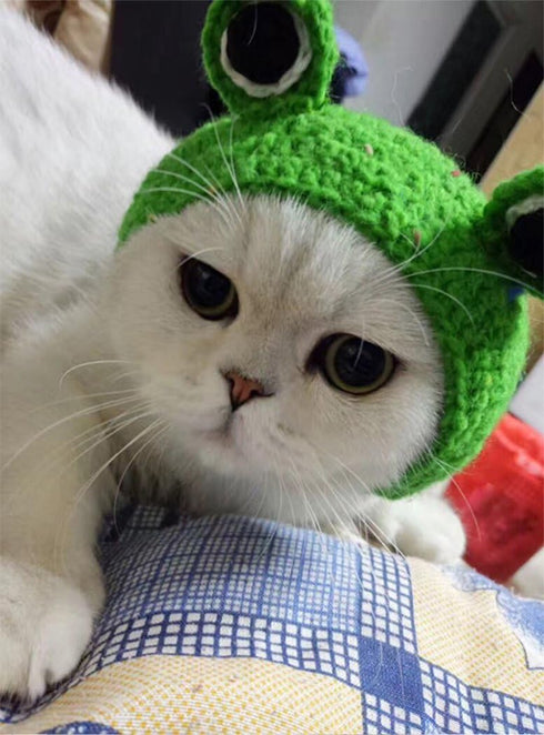 Pet Hat - Handmade Knitted Woolen Yarn Cap for Dog Cat Puppy Teddy Cartoon Frog Grooming Accessories, Green, M