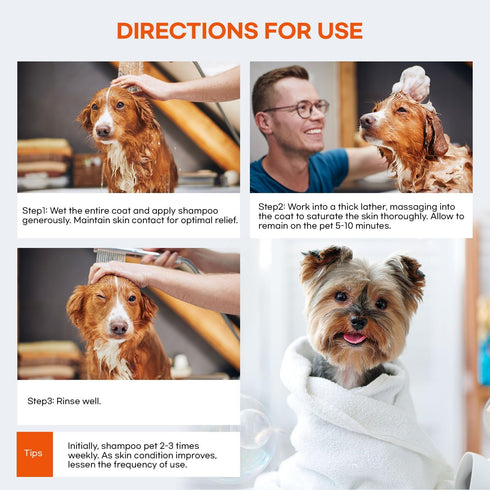 16 OZ Medicated Dog Shampoo for Allergies and Itching: Antifungal Dog Shampoo, Yeast Infection and Bacterial Treatment