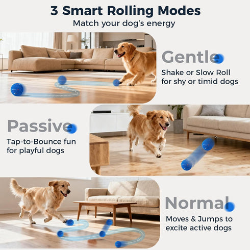 2 Pack Interactive Dog Balls - Auto Moving Bouncing Vibrating Washable Dog Toys for Large Medium Dogs, Type-C