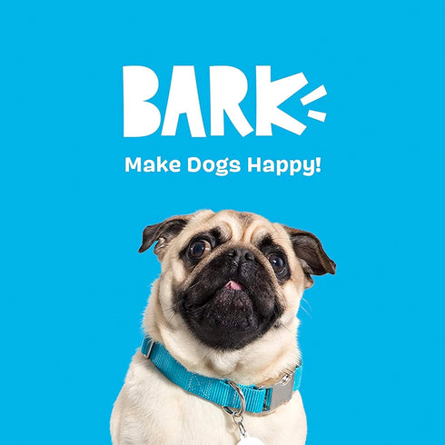 Barkbox Best of BarkBox Bundle - Squeaky Plush Chew Toys for Medium and Large Dogs, Gordon, Dingbert, Ollie