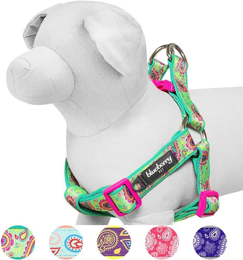 Blueberry Pet 5 Colors Soft & Comfy Step-in Paisley Flower Print Dog Harness - Chest Girth 20" - 26", Emerald Green,