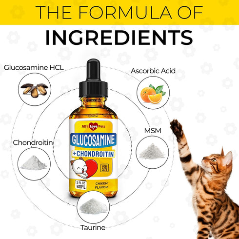 Glucosamine for Cats, Joint Supplement in Liquid Form, Chicken Flavor, 2 Oz