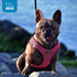 Best Pet Supplies - All Weather Mesh Reflective No Pull Harness for Small & Medium Dogs, Turquoise, Size L