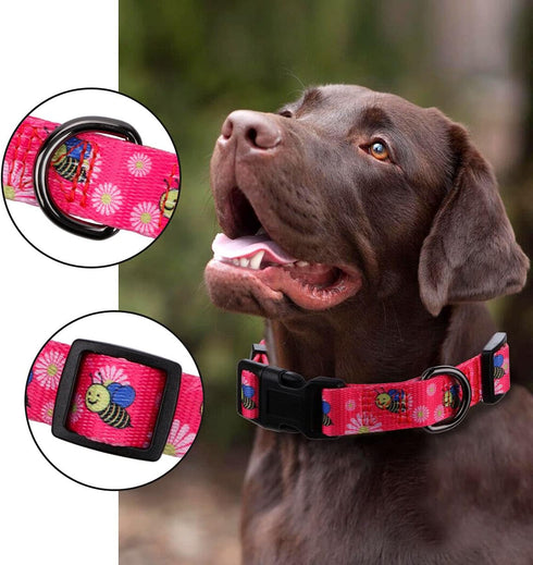 Rhea Rose Pink Dog Collar - Summer Daisy and Bees Print for Large Dogs