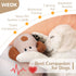 WEOK Puppy Heartbeat Toy, Dog Heartbeat Toy for Separation Anxiety Relief, Puppy Toy with Heartbeat Stuffed Animal