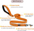 FURRYFECTION Reflective Dog Collar and Leash Set, Quick Release Buckle, Padded Neoprene Adjustable Nylon Collar for