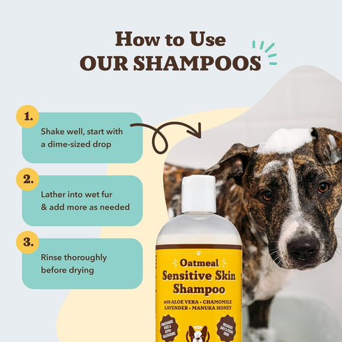 12 oz Natural Dog Company Oatmeal Shampoo for Dogs with Sensitive Skin, Ideal Anti Itch Dog Shampoo and Puppy Shampoo