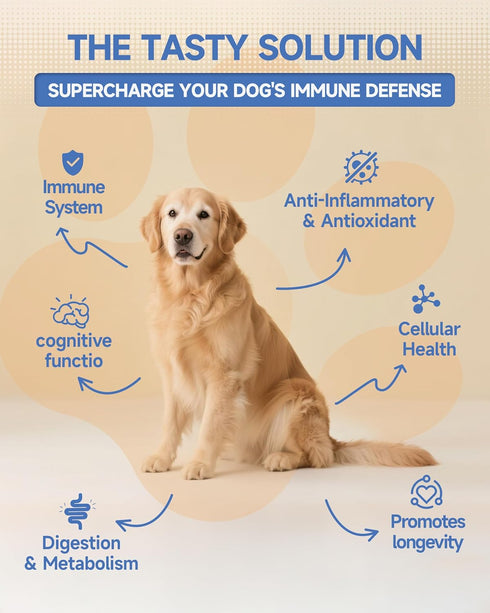 18-in-1 immune 60mL Organic Mushroom Supplement for Dogs - blend with Turkey Tail, Reishi, Lion's Mane. Supports