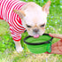 Dog Bowl Pet Collapsible Bowls, 2 Pack for Cats Dogs, Portable Pet Feeding Watering Dish with 2 Carabiners (Small,