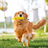 Dog Chew Toys for Aggressive Chewers - Squeaky Interactive Corn Stick Toy for Small Medium Dogs