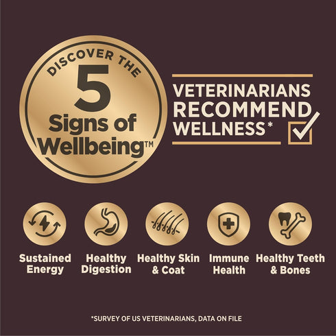 Wellness CORE Digestive Health Dry Dog Food with Wholesome Grains for Dogs with Sensitive Stomachs (Small Breed,
