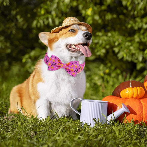 Halloween Boy Dog Collar Bow Tie, Thick Purple Pumpkin Male Dog Collar with Safety Metal Buckle Adjustable Wide Big Collars for Small Medium Large Dog,X-Large, Neck 16"-26"