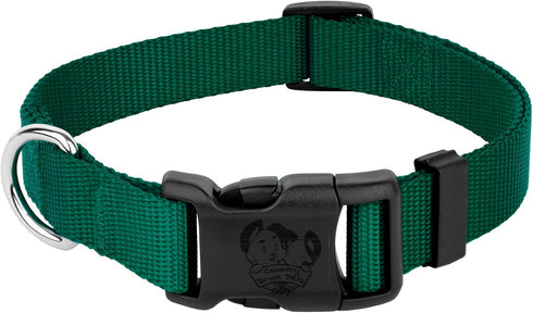 Country Brook Petz Dog Collar, American-Made, Medium, 3/4 Inch Wide, Deluxe Heavy Duty Nylon, Green