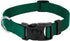 Country Brook Petz Dog Collar, American-Made, Medium, 3/4 Inch Wide, Deluxe Heavy Duty Nylon, Green